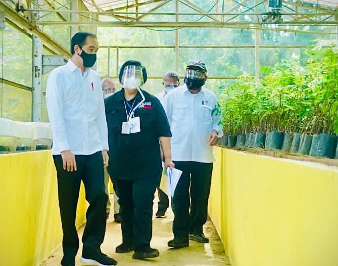 Kembangkan Green Economy, Pemerintah Bangun Persemaian Skala Besar