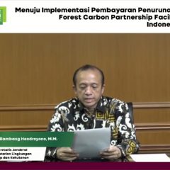 Pemerintah Segera Implementasikan Program Pembayaran Berbasis Kinerja Hasil Pengurangan Emisi Karbon dari Deforestasi dan Degradasi Hutan