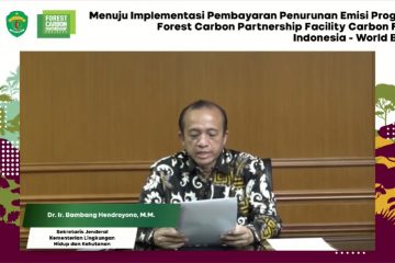Pemerintah Segera Implementasikan Program Pembayaran Berbasis Kinerja Hasil Pengurangan Emisi Karbon dari Deforestasi dan Degradasi Hutan
