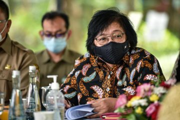 Kementerian LHK Gandeng UNDP Atasi Masalah Lingkungan dan Perubahan Iklim