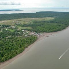 Government Prepares Teluk Bintuni to Become a Gas-Based Industrial Zone