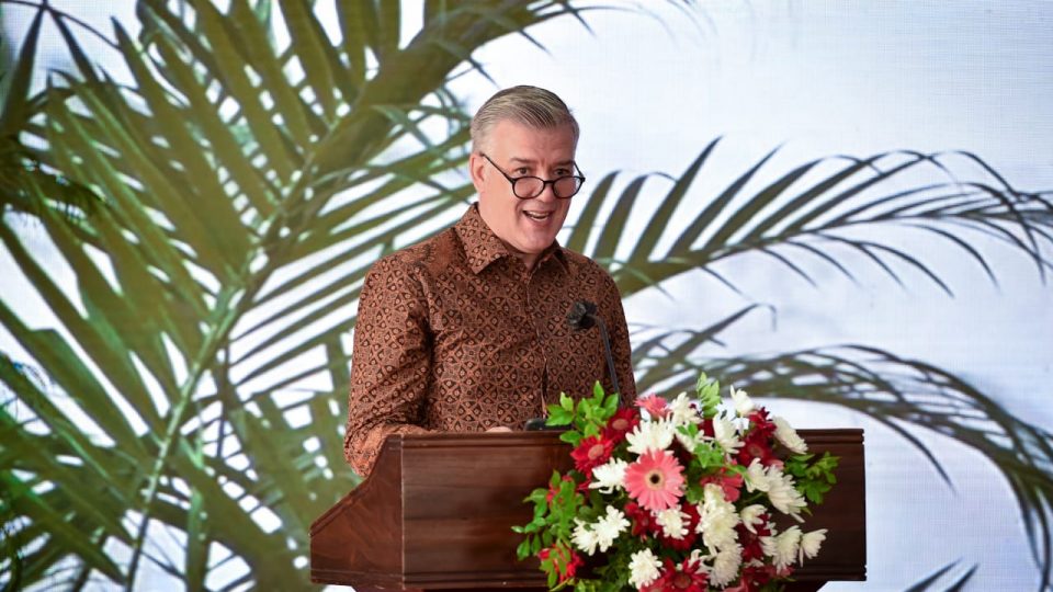 FAO: Komitmen Kuat Kelola Hutan, Tingkat Deforestasi Turun Hampir 90%