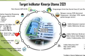 Perlu Langkah Konkret Menuju Tahapan Implementasi PLTN