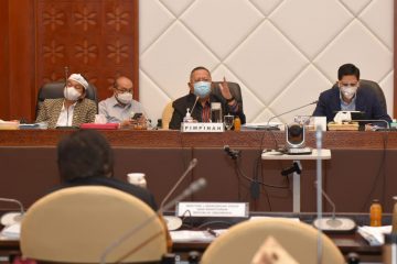 Anggaran Belanja KLHK Terpotong, Komisi IV DPR Dorong RPP Cipta Kerja Sektor Kehutanan