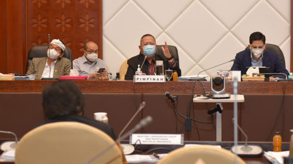 Anggaran Belanja KLHK Terpotong, Komisi IV DPR Dorong RPP Cipta Kerja Sektor Kehutanan