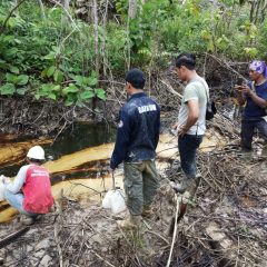 Tim Operasi Gabungan KLHK Hentikan Penambangan Ilegal Minyak Bumi di Kawasan Hutan Sungai Air Mato Jambi