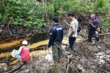 Tim Operasi Gabungan KLHK Hentikan Penambangan Ilegal Minyak Bumi di Kawasan Hutan Sungai Air Mato Jambi