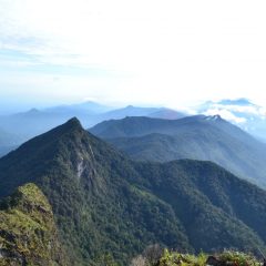 Cadangan Karbon Biru Berlimpah, Indonesia Berpotensi Sebagai “Climate Super Power”