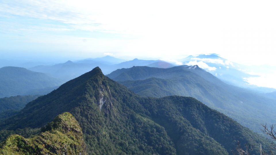 Cadangan Karbon Biru Berlimpah, Indonesia Berpotensi Sebagai “Climate Super Power”
