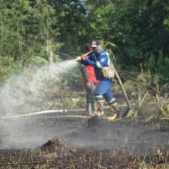 Cegah Karhutla, Refinery Unit II Pertamina Sinergi dengan Masyarakat