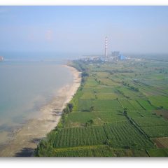 Pertamina Rampungkan Pengadaan Lahan Kilang Tuban