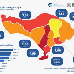 Permintaan Listrik Tumbuh 6,5%, Potensi Pembangkitan Energi Surya di Bali 40,5 TWh per Tahun