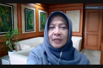 Perlu Strategi Danai Aksi Pengendalian Perubahan Iklim dan Emisi Karbon