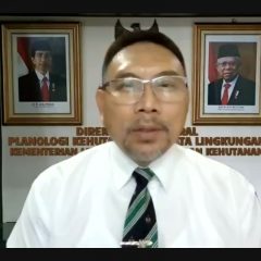 KLHK Tetapkan Peta Indikatif Penghentian Pemberian Izin Hutan Alam Primer