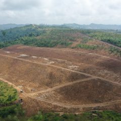 Tak Lagi Masuk Daftar B3, Juklak Juknis FABA Perlu Dipermudah