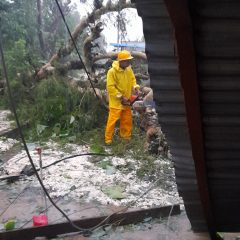 Gerak Cepat PLN, 4.885 Gardu Distribusi Terdampak Cuaca Ekstrem di NTT Menyala Kembali