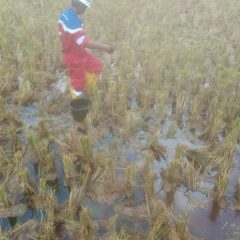 Pertamina Cepu Field Rampungkan Kebocoran Pipa di Blora