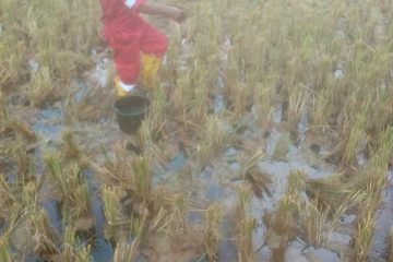 Pertamina Cepu Field Rampungkan Kebocoran Pipa di Blora