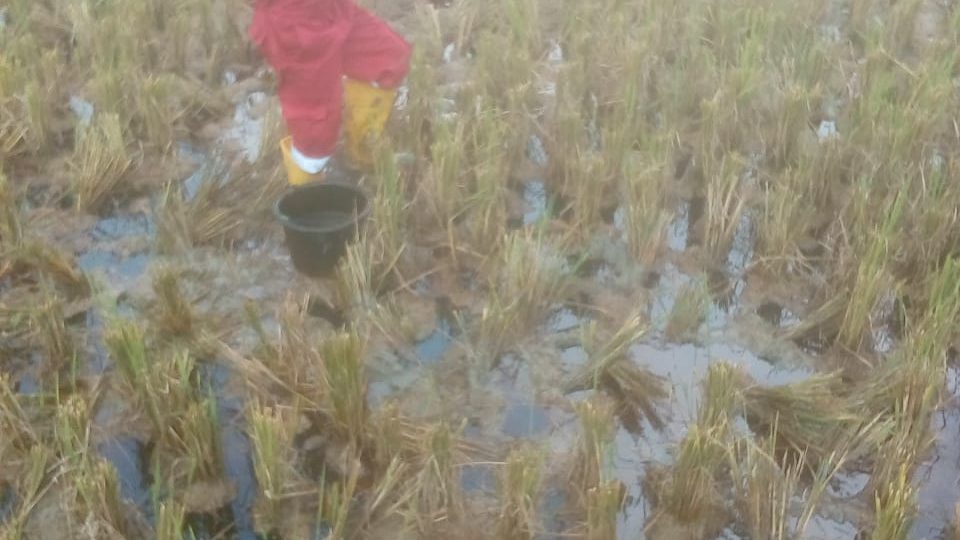 Pertamina Cepu Field Rampungkan Kebocoran Pipa di Blora