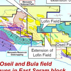 SKK Migas Minta CITIC Seram Energi Serius Garap Potensi Gas di Maluku