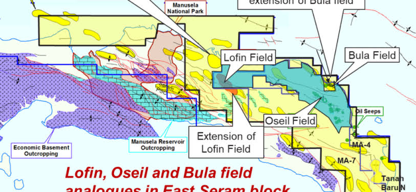 SKK Migas Minta CITIC Seram Energi Serius Garap Potensi Gas di Maluku