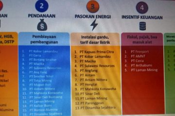 Lima Persoalan Investor Belum Bangun Smelter, Pendanaan Salah Satunya