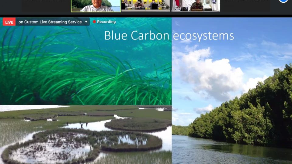 Ekosistem Blue Carbon Berpotensi Tekan Emisi