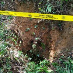 Pembentukan Satgas Anti Mafia Tanah, Peluang Polri Buru Mafia Sektor Pertambangan