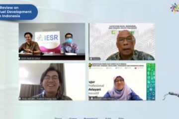 Pengembangan Biofuel Perlu Strategi Jangka Panjang