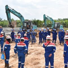 Catat Kinerja Keuangan Positif, PDSI Bagi Dividen 50% dari Laba Bersih