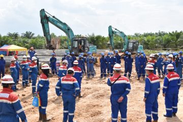 Catat Kinerja Keuangan Positif, PDSI Bagi Dividen 50% dari Laba Bersih