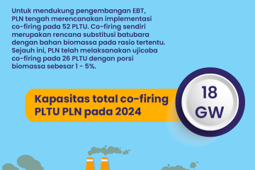 Tahun 2024, Co-Firing PLTU PLN Kapasitasnya Dipatok Mencapai 18 Gigawatt