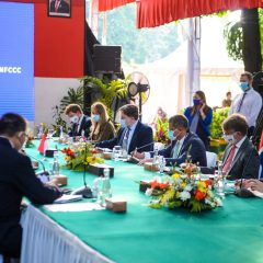 2030 Sektor Kehutanan Capai Karbon Netral, Sektor Energi Masih Berat