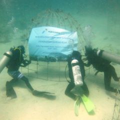 Pertagas Konservasi Terumbu Karang di Laut Madura