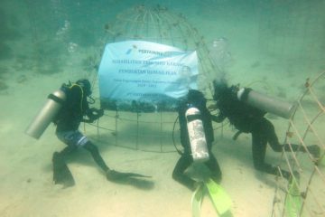 Pertagas Konservasi Terumbu Karang di Laut Madura