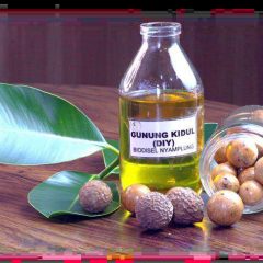 B30 Langkah Awal Reformasi Energi