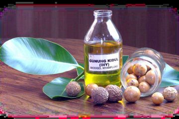 B30 Langkah Awal Reformasi Energi