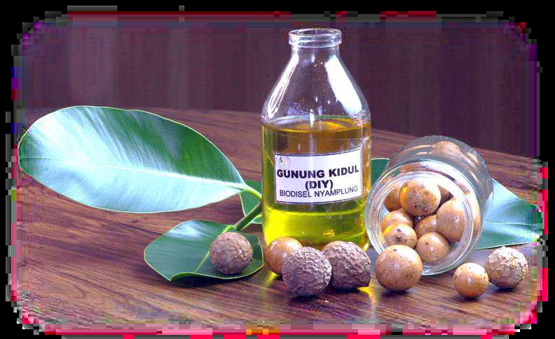 B30 Langkah Awal Reformasi Energi