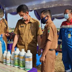 Pertagas Inisiasi Mitra Binaan Mandiri Pasarkan Produk Pertanian Sehat