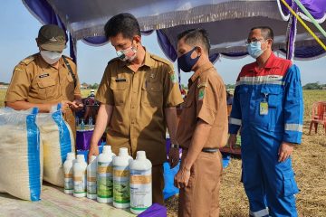 Pertagas Inisiasi Mitra Binaan Mandiri Pasarkan Produk Pertanian Sehat