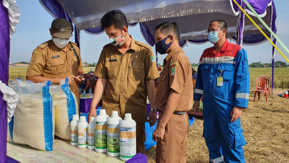 Pertagas Inisiasi Mitra Binaan Mandiri Pasarkan Produk Pertanian Sehat