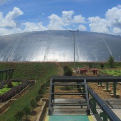 PGN Gandeng Tiga Perusahaan Jepang dan PTPN Garap Proyek Biomethane