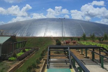 PGN Gandeng Tiga Perusahaan Jepang dan PTPN Garap Proyek Biomethane