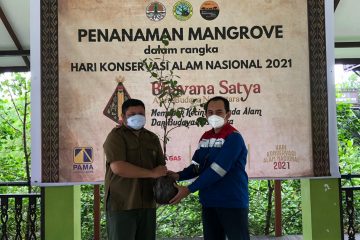 Peringati Hari Konservasi Alam, Pertagas Gelar Kegiatan Pelestarian Ekosistem Mangrove di Kaltim