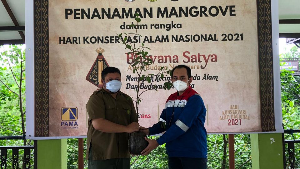 Peringati Hari Konservasi Alam, Pertagas Gelar Kegiatan Pelestarian Ekosistem Mangrove di Kaltim