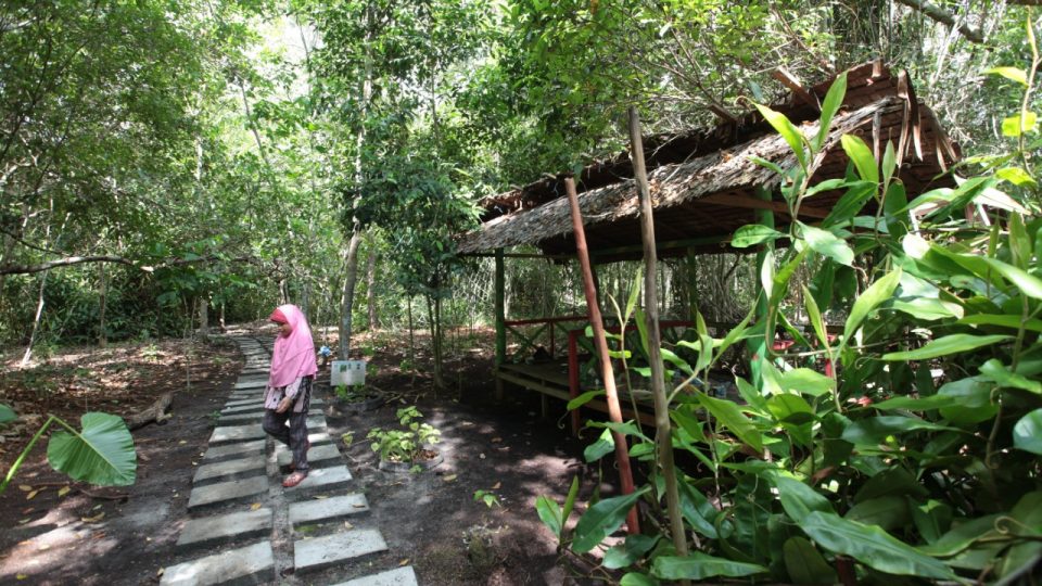 Pertamina NRE Gandeng Perhutani Kembangkan Nature Based Solution Capai Net Zero Emission