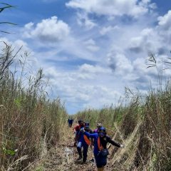 PLN Kebut Proyek Interkoneksi Kalteng-Kalbar