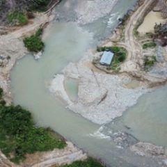 Penambang Emas Tanpa Izin Di Dalam Kawasan Hutan Kabupaten Toli-Toli Segera Disidangkan