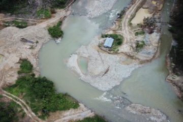 Penambang Emas Tanpa Izin Di Dalam Kawasan Hutan Kabupaten Toli-Toli Segera Disidangkan
