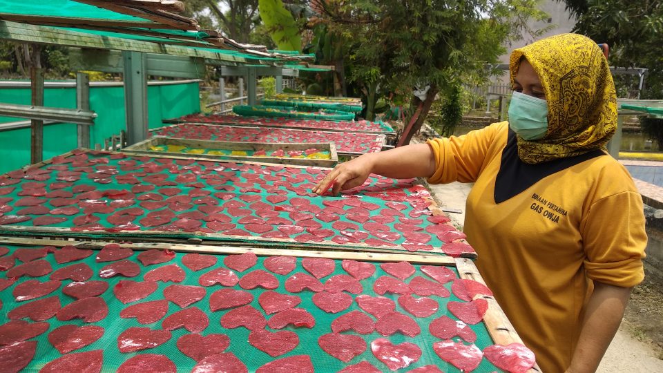 Wanita Tangguh Kenanga Ubah Desa Tanjung dari Rawan Jadi Mandiri Pangan